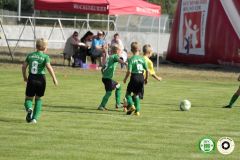 HFC_OB-CUP_0020