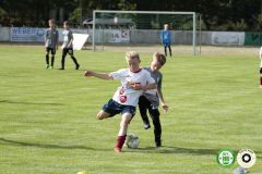 HFC_OB-CUP_0027