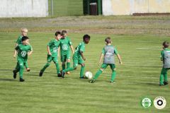 HFC_OB-CUP_0041