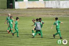 HFC_OB-CUP_0042