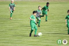 HFC_OB-CUP_0043