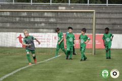 HFC_OB-CUP_0044