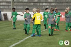 HFC_OB-CUP_0049