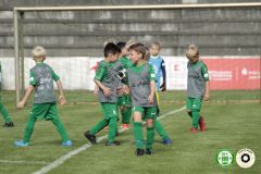HFC_OB-CUP_0050