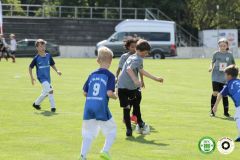 HFC_OB-CUP_0086