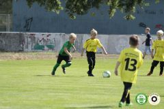 HFC_OB-CUP_0097