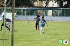 HFC_OB-CUP_0102