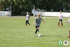 HFC_OB-CUP_0116