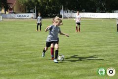 HFC_OB-CUP_0118