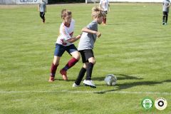 HFC_OB-CUP_0120
