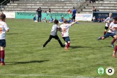 HFC_OB-CUP_0123