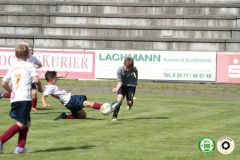 HFC_OB-CUP_0131