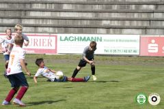 HFC_OB-CUP_0132