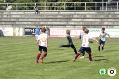 HFC_OB-CUP_0134