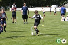 HFC_OB-CUP_0186