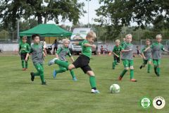 HFC_OB-CUP_0203