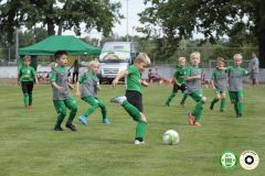 HFC_OB-CUP_0204