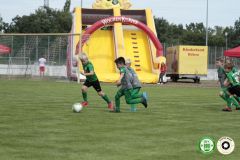 HFC_OB-CUP_0207