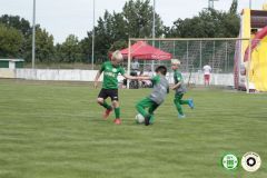 HFC_OB-CUP_0208