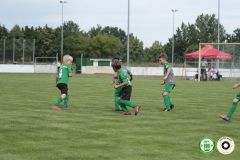 HFC_OB-CUP_0210