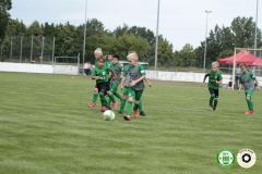 HFC_OB-CUP_0211