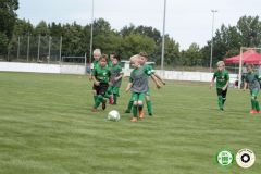 HFC_OB-CUP_0212