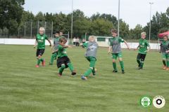 HFC_OB-CUP_0213