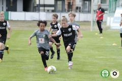 HFC_OB-CUP_0242