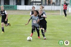 HFC_OB-CUP_0243