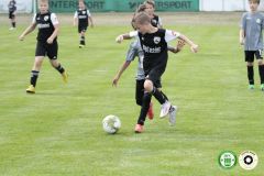 HFC_OB-CUP_0246