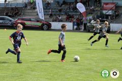 HFC_OB-CUP_0313