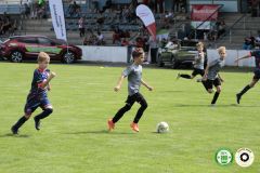 HFC_OB-CUP_0314