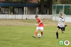 HFC_OB-CUP_0467