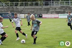 HFC_OB-CUP_0490
