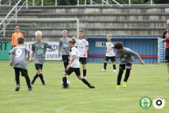 HFC_OB-CUP_0501