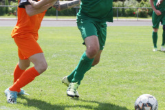 2021-07-31 Hoyerswerdaer FC - SV Trebendorf Foto: Werner Müller