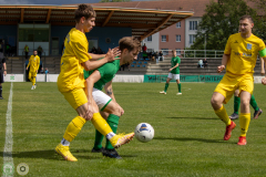 HFC2_vs_BFV2-009