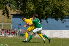 HFC2_vs_BFV2-015
