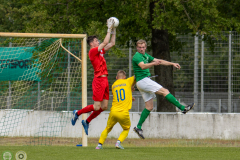 HFC2_vs_BFV2-029