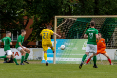 HFC2_vs_BFV2-041