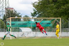 HFC2_vs_BFV2-051