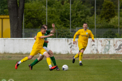 HFC2_vs_BFV2-100