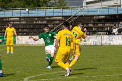 HFC2_vs_BFV2-111