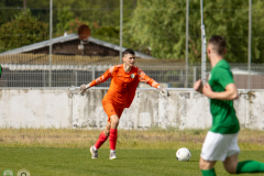 HFC2_vs_BFV2-112