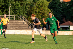 hfc_vs_budissa-49
