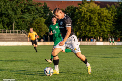 hfc_vs_budissa-50