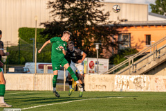 hfc_vs_budissa-52