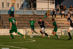 hfc_vs_budissa-53