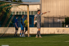 hfc_vs_budissa-55