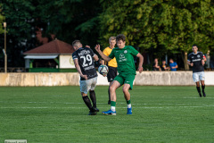 hfc_vs_budissa-59